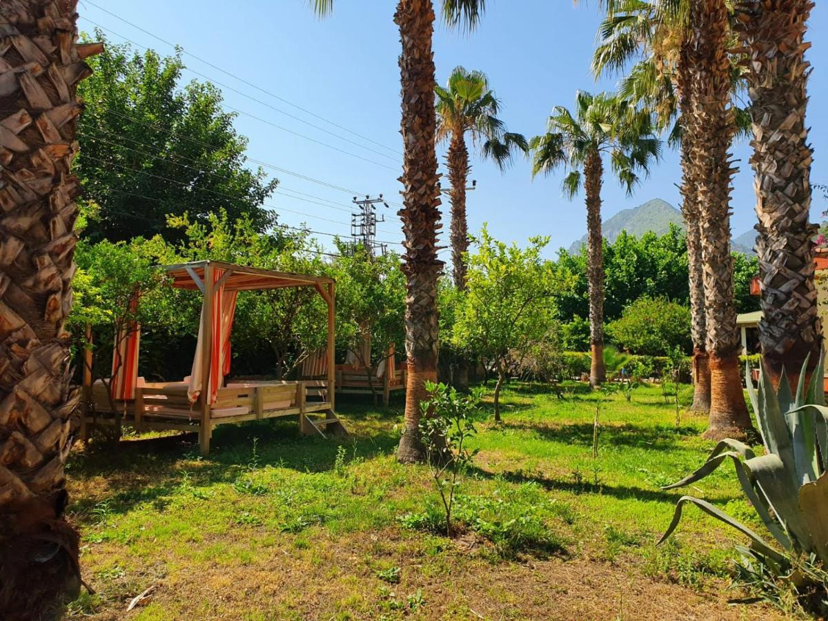 Oblomov Hotel Çıralı Extérieur photo